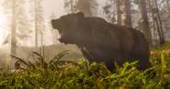 The Ultimate Guide To Legendary Animals In Red Dead Redemption 2