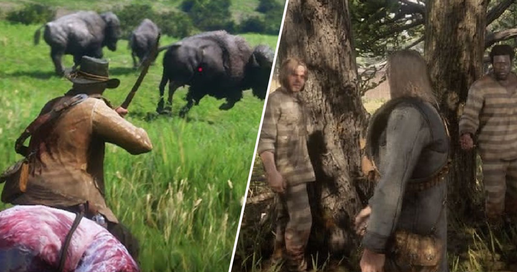 The 15 Best Hidden Missions In Red Dead Redemption 2 (And 10 Not Worth