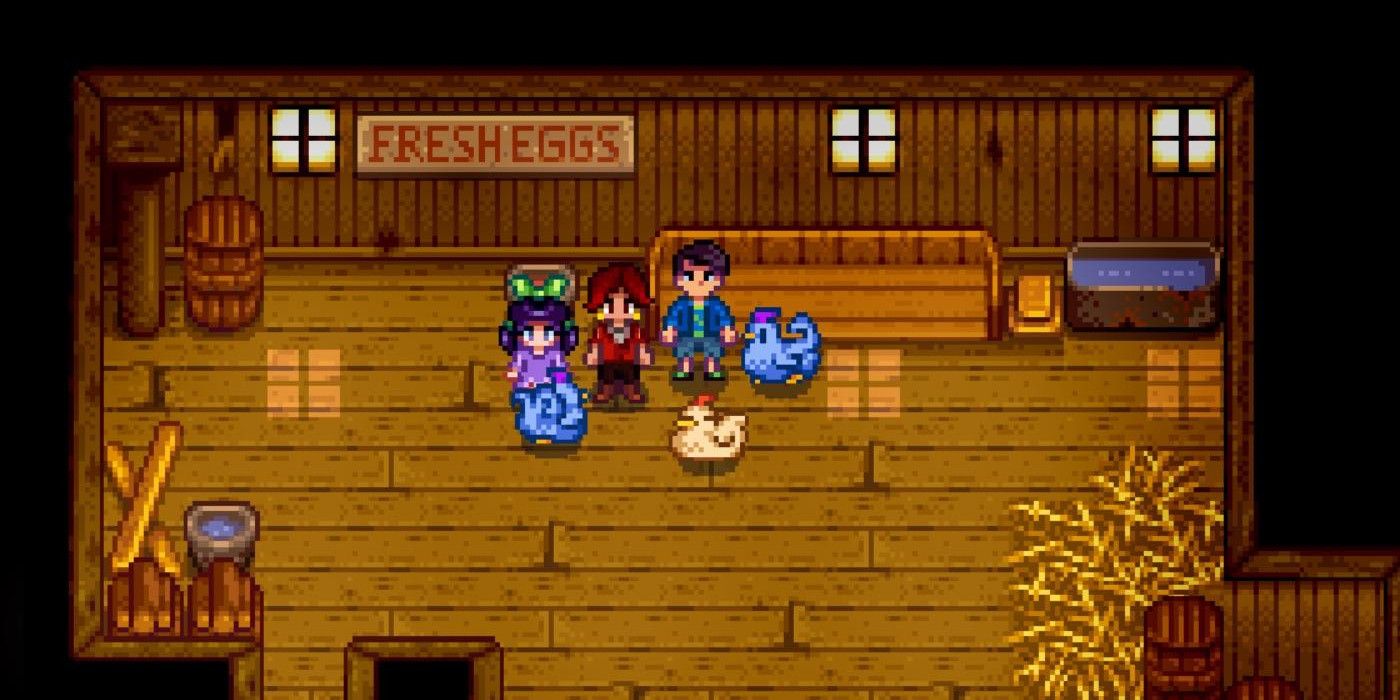 blue chickens in a coop