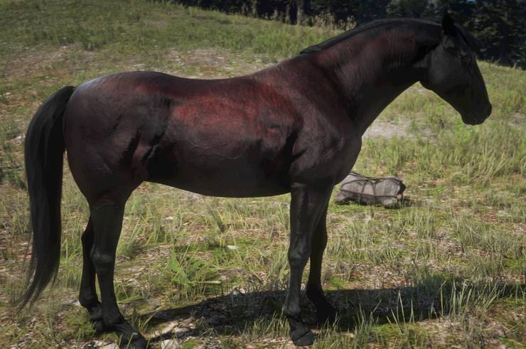 Red Dead Redemption 2 10 Best Horses Ranked Thegamer