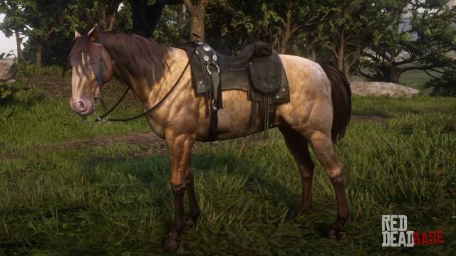 Red Dead Redemption 2 10 Best Horses Ranked Thegamer