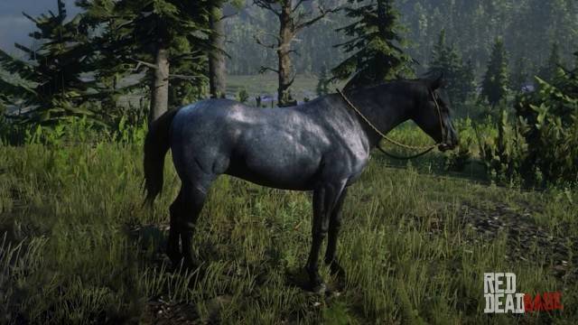 Red Dead Redemption 2 10 Best Horses Ranked Thegamer