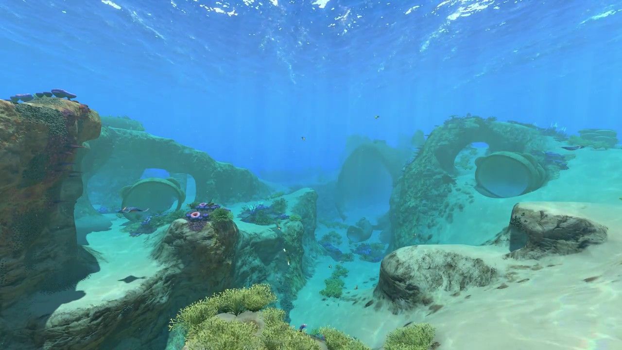 The Shallows area in Subnautica