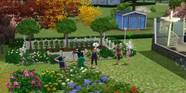 Sims 4 Yard Ideas