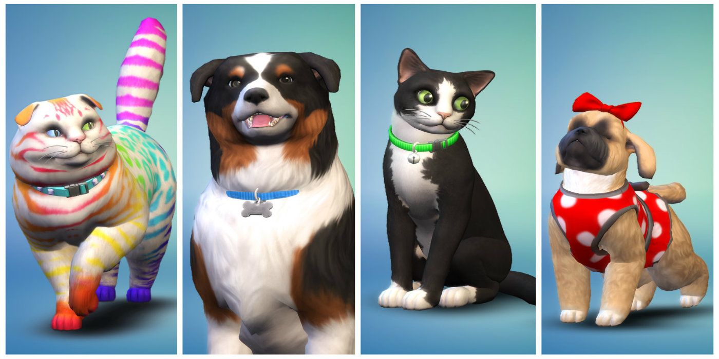 does sims 4 cats and dogs have online game code