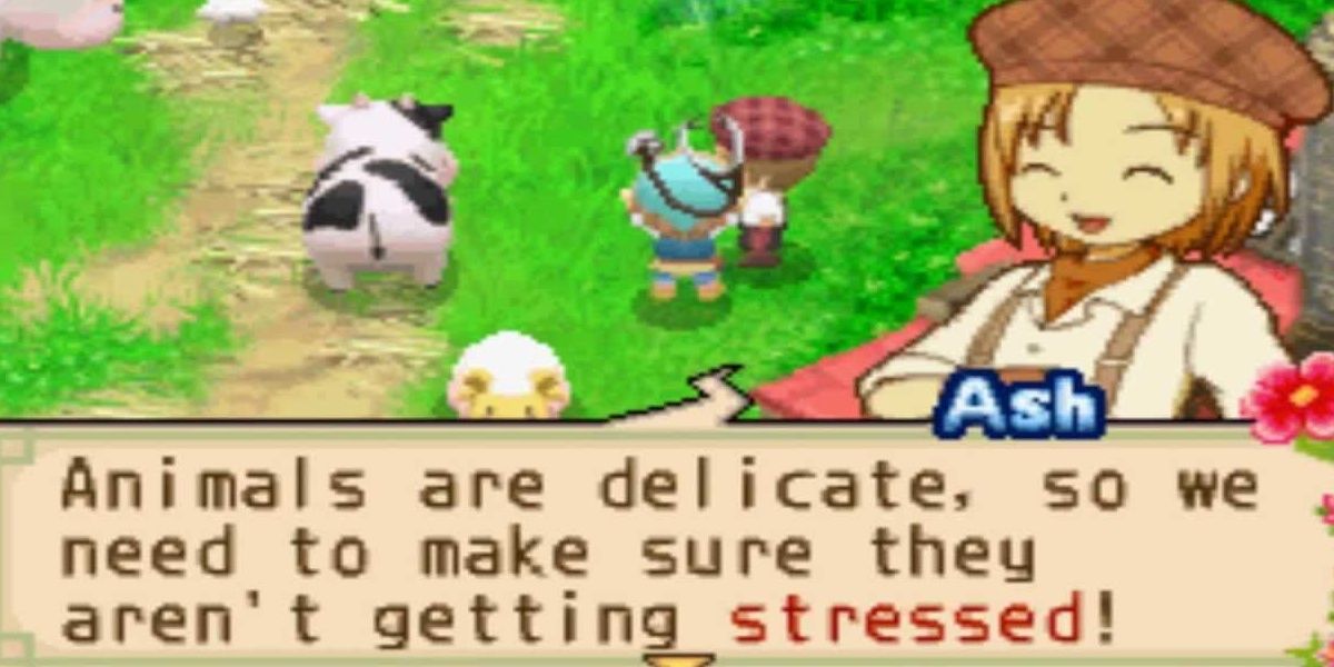 harvest moon tale of two towns ash