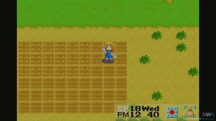 Ranked The Best Harvest Moon Games Thegamer