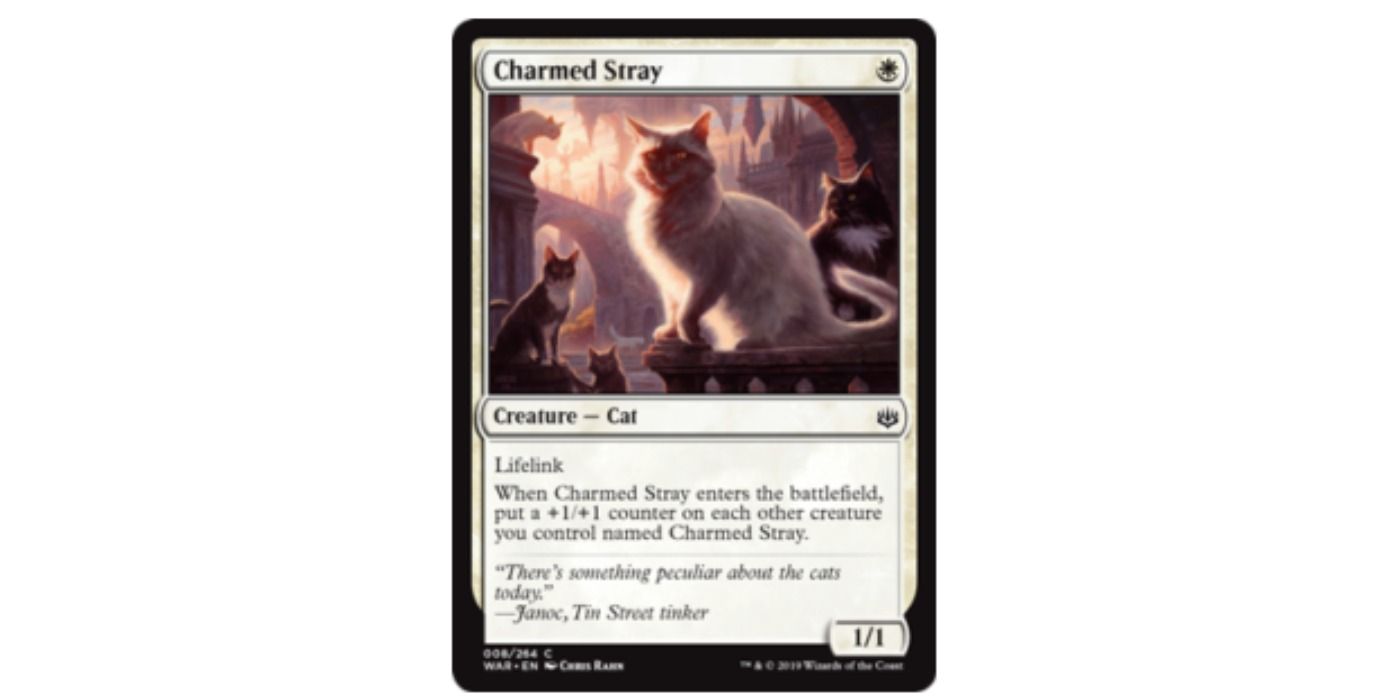 Magic The Gathering Artist Honors Beloved Deceased Cat In Latest Card Art