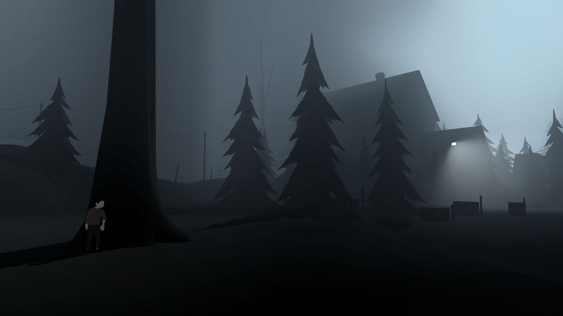 Inside gameplay woods