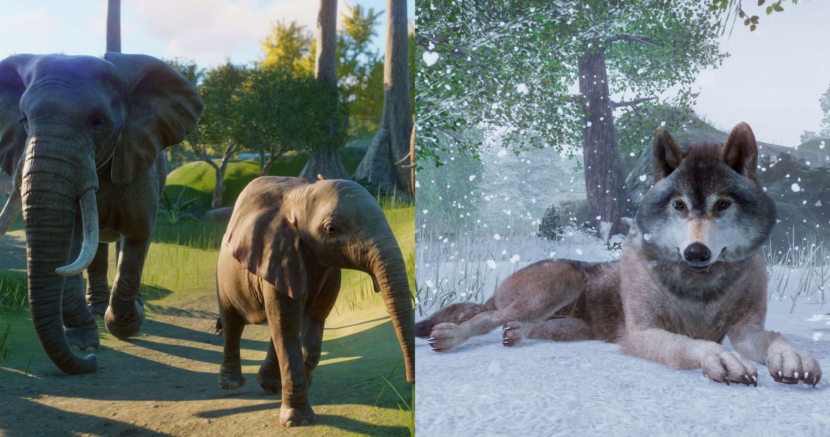 download animal planet zoo for free