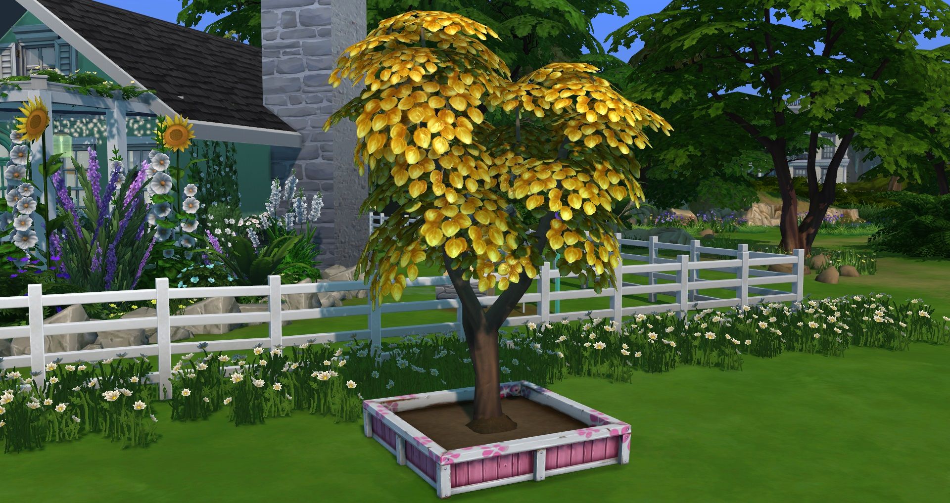 how to grow money tree sims 4