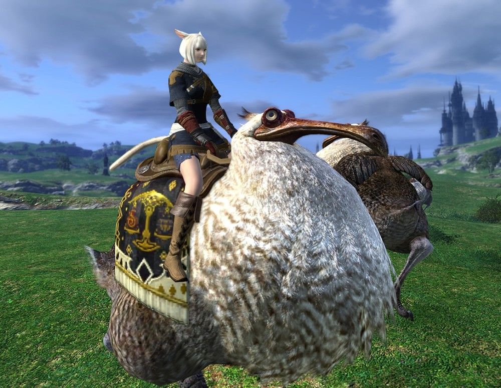 The Dodo mount in Final Fantasy 14