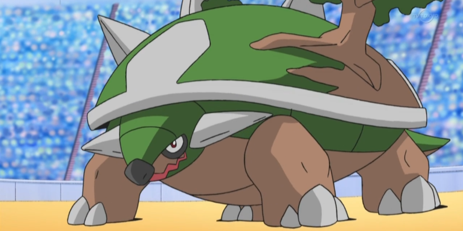 Ash's Torterra ready for battle against Paul in the Pokemon anime