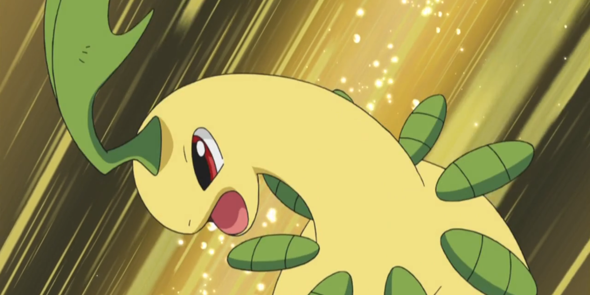 Bayleef entering battle in the Pokemon anime flinging its head