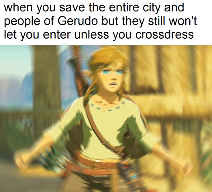 10 Hilarious Zelda Breath Of The Wild Memes That Are Just Perfect