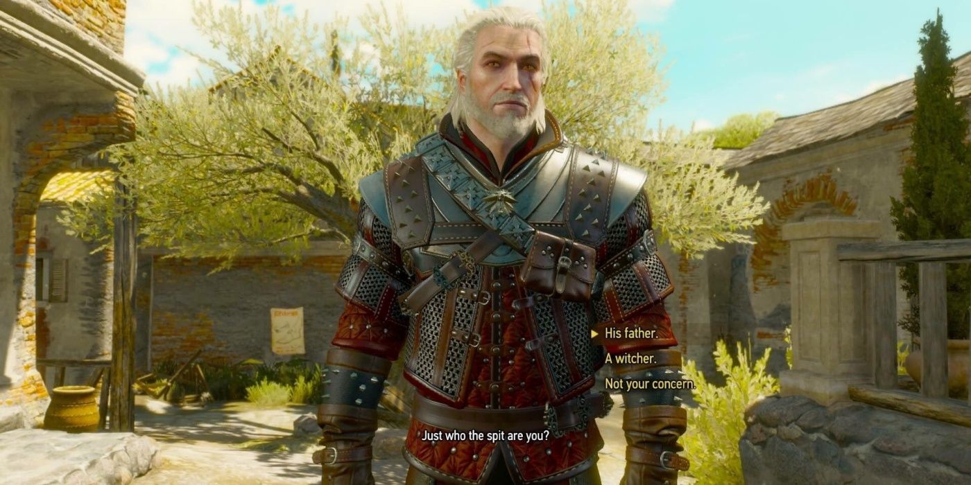 Geralt wearing Grandmaster Wolf Armor while talking to an NPC