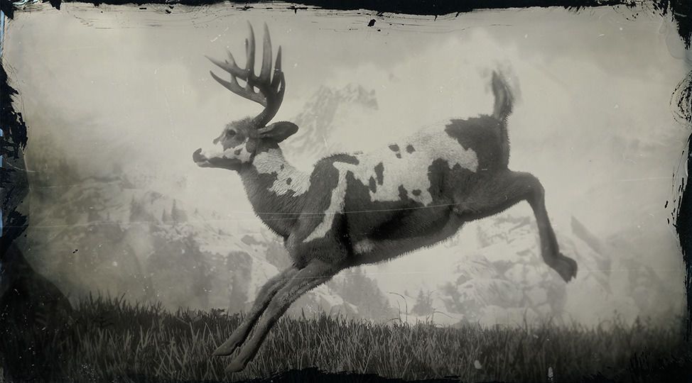 10 Legendary Animals You Need To Hunt In Red Dead Redemption 2