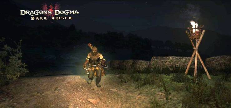 How To Catch Thief Dragon S Dogma How To Catch Thief Dragon S Dogma