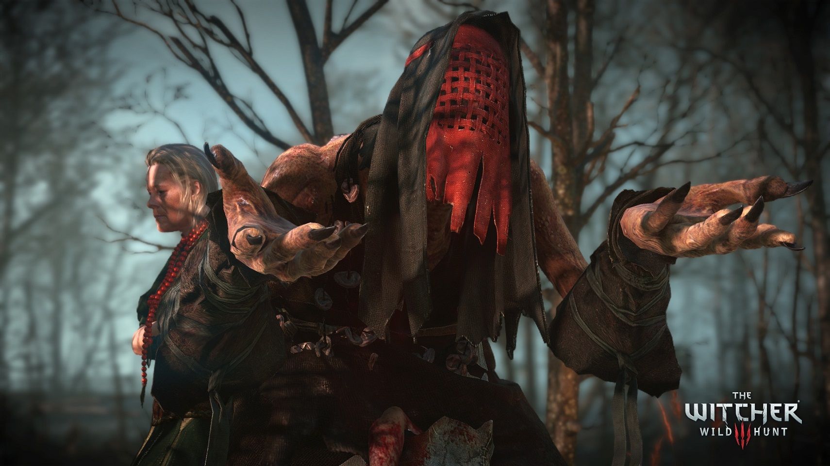 Witcher 3 anna and crones