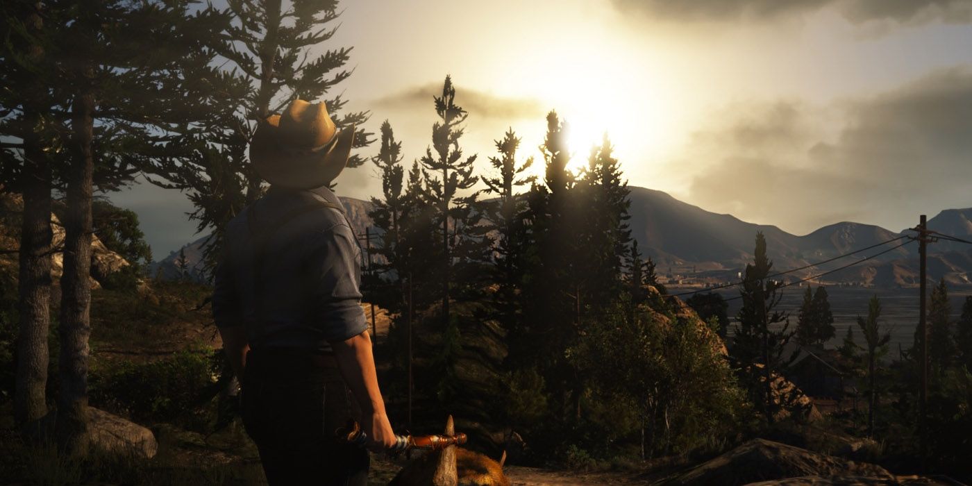 player wearing a cowboy hat in nature in gta v with the naturalvision mod