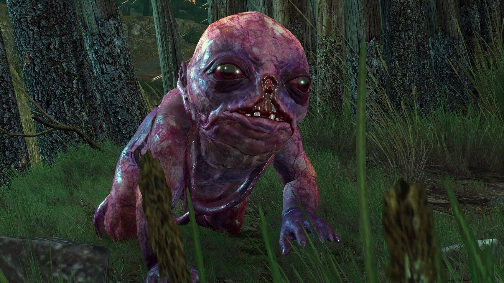 witcher 3 botchling