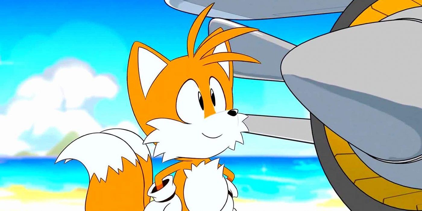 Tails smiling while standing next to a plane on a beach.