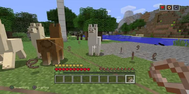 Minecraft Llama Carpet Designs | www.stkittsvilla.com