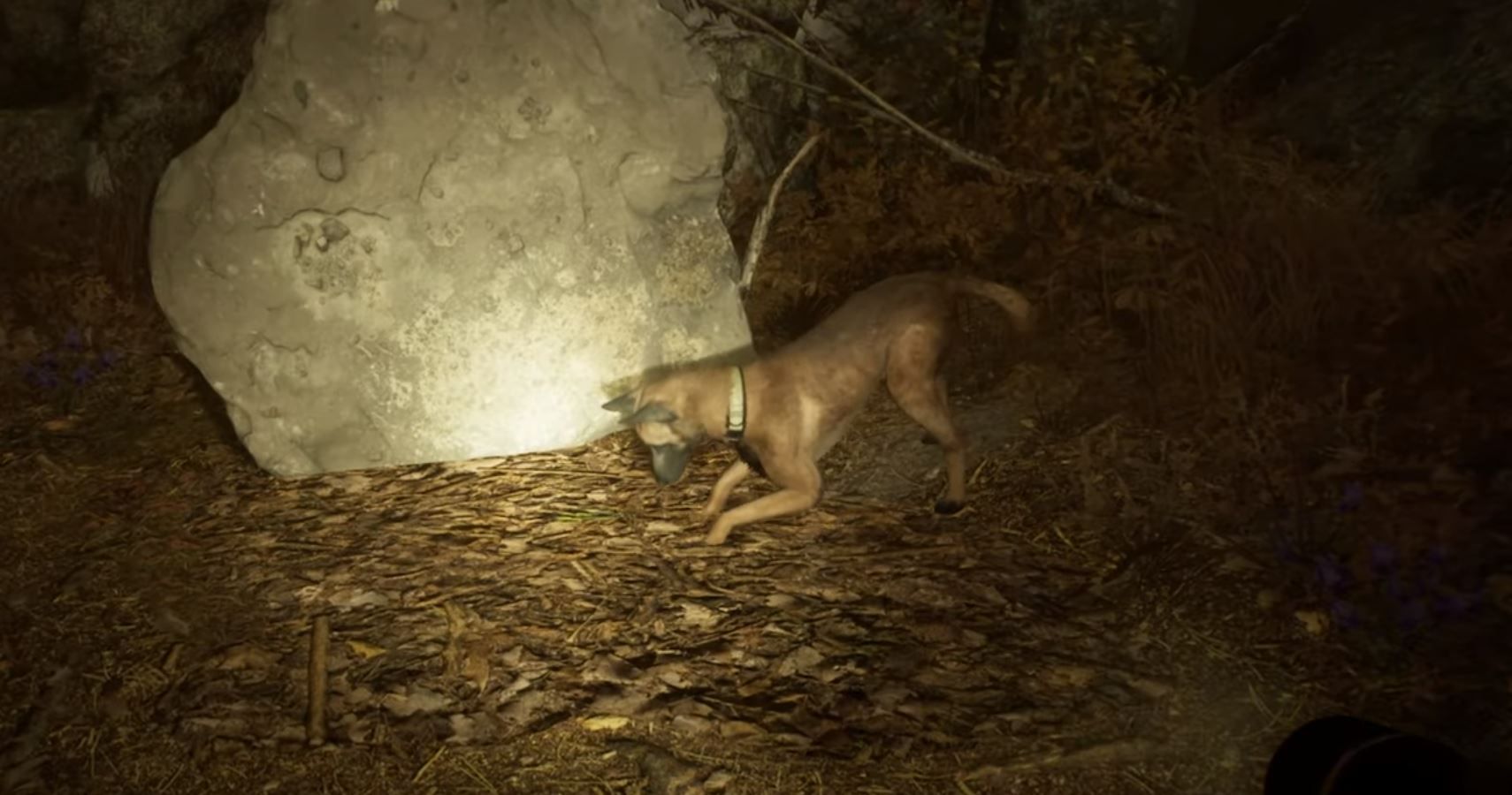 Blair Witch Gameplay Trailer Yes You Can Pet The Dog