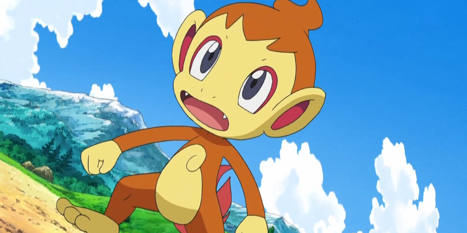 Chimchar entering scared into a battle in the Pokemon Anime