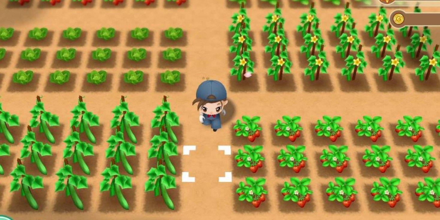 The player character in their farm in Harvest Moon Friends of Mineral Town remake