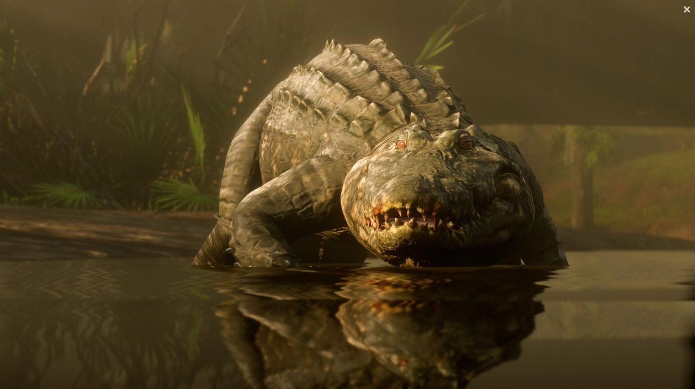 Red Dead Redemption 2 Gator