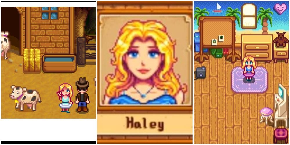 stardew valley haley