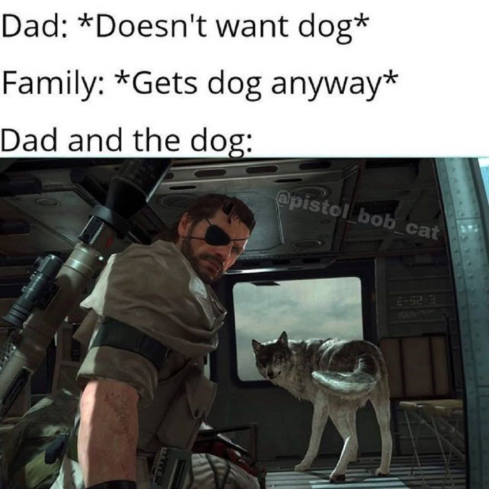 Metal Gear D Dog and dad meme