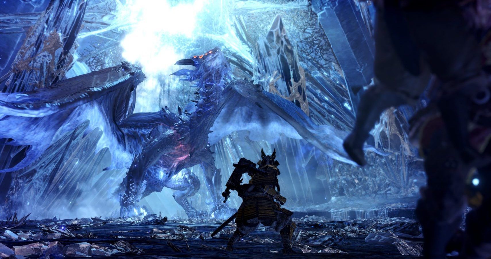 10 trivia facts about the Monster Hunter video game