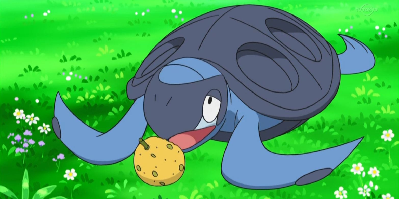 Pokemon Tirtouga Eating A Cookie Close Up