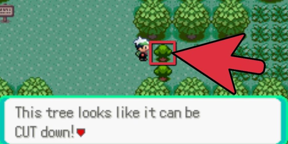 Pokémon: Every HM Move, Ranked