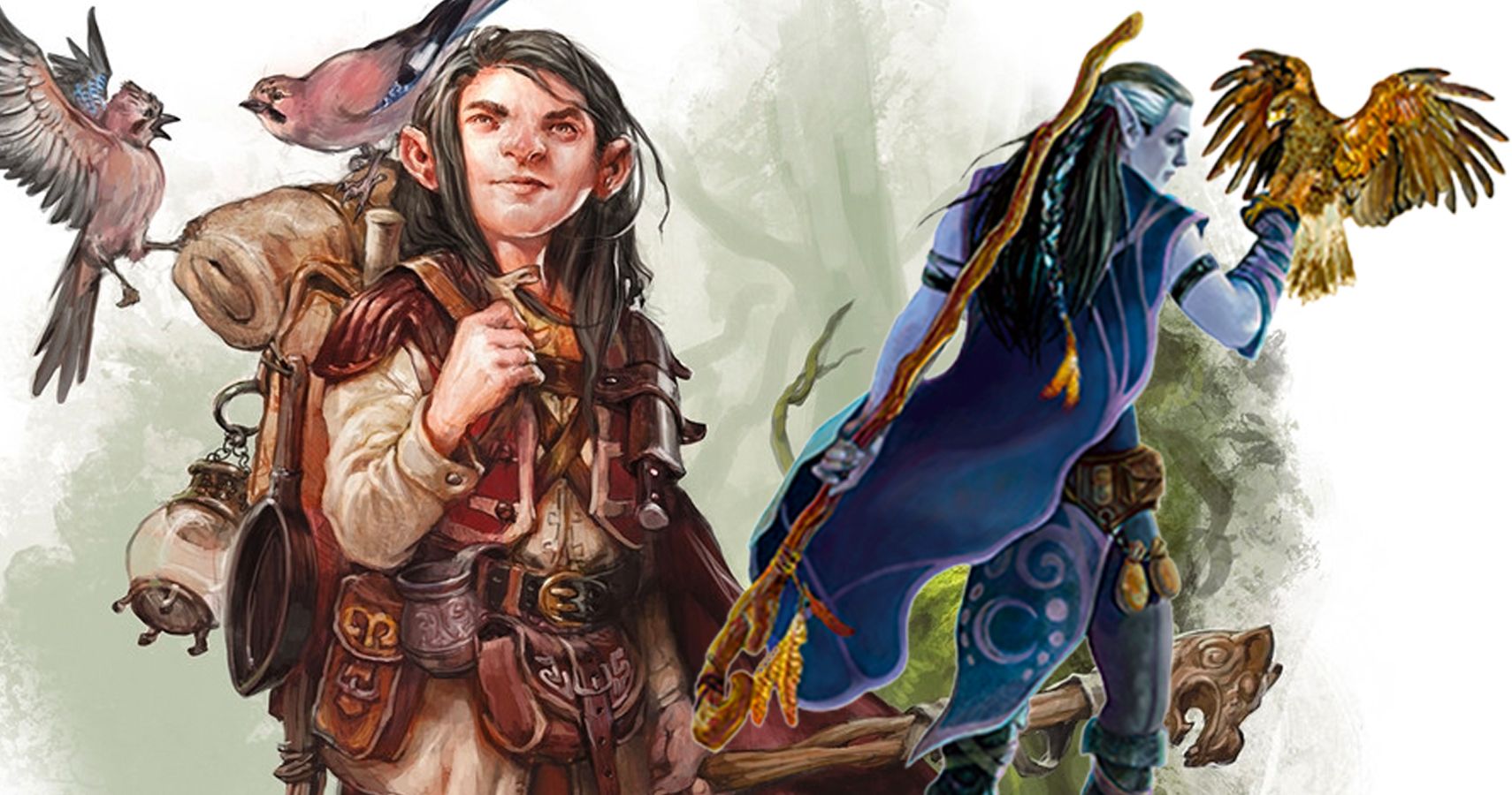 Dungeons & Dragons 10 Best Class Feature Variants From Unearthed Arcana
