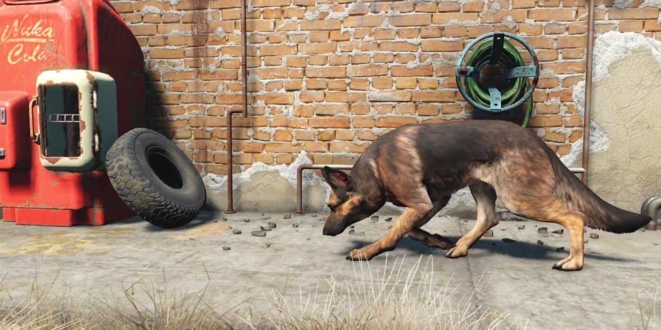 Dogmeat