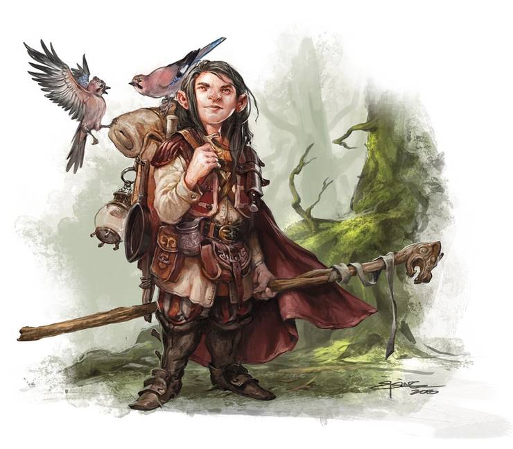Dungeons Dragons All 5 Official Druid Subclasses Ranked