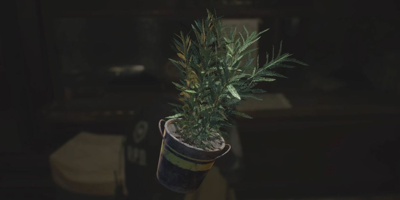 Green herbs from Resident Evil