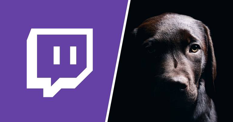 Xgpvuuoszdgpxm Fortnite Strangles Dog Fortnite Strangles Dog Xgpvuuoszdgpxm