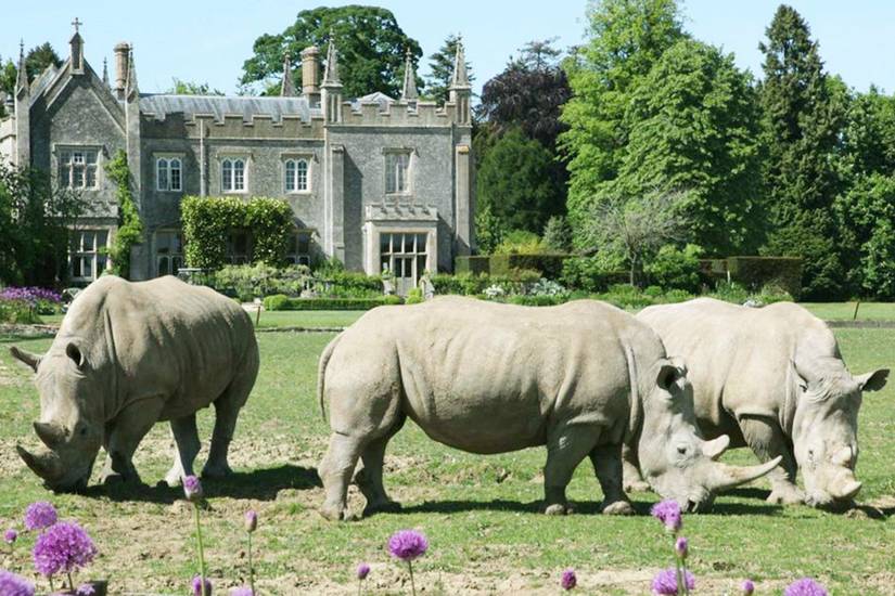 10 Real-Life Zoos To Use As Inspiration For Planet Zoo