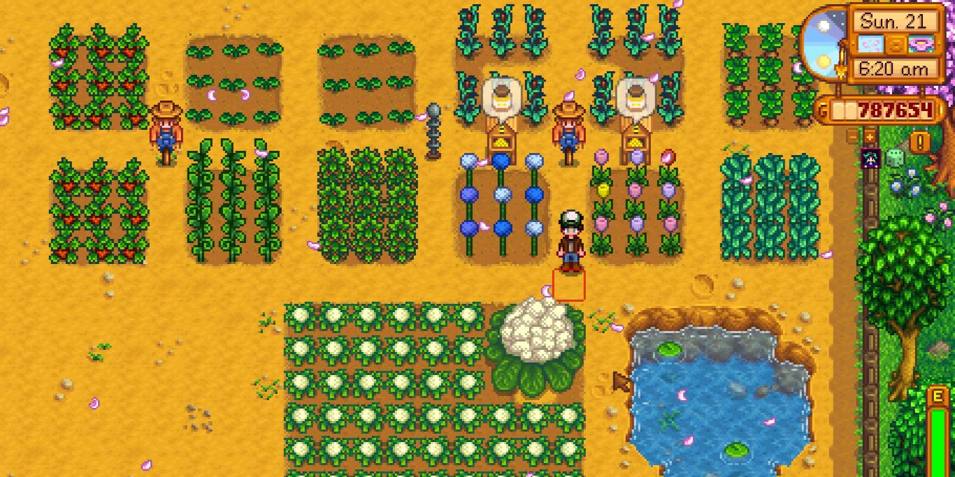 A Standard Farm in Stardew Valley laid out in 13 plots with a variety of crops. In the middle, Blue Jazz and Tulips and flavored honey.