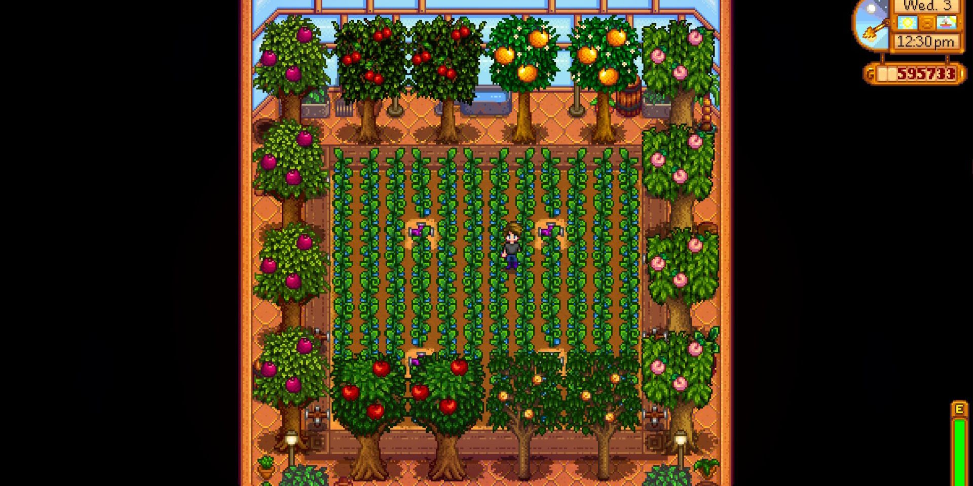 A full greenhouse in Stardew Valley, with Apple, Cherry, Orange, Peach, and Apricot trees surrounding the central garden plot
