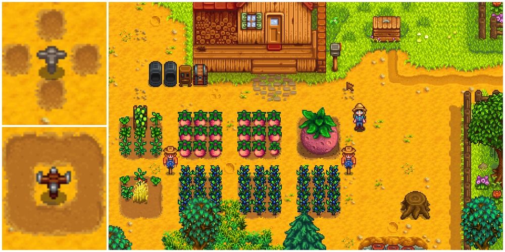 A split graphic that shows 3x3 grid layouts in Stardew Valley, with basic and quality sprinklers (left) and giant melon crops (right)