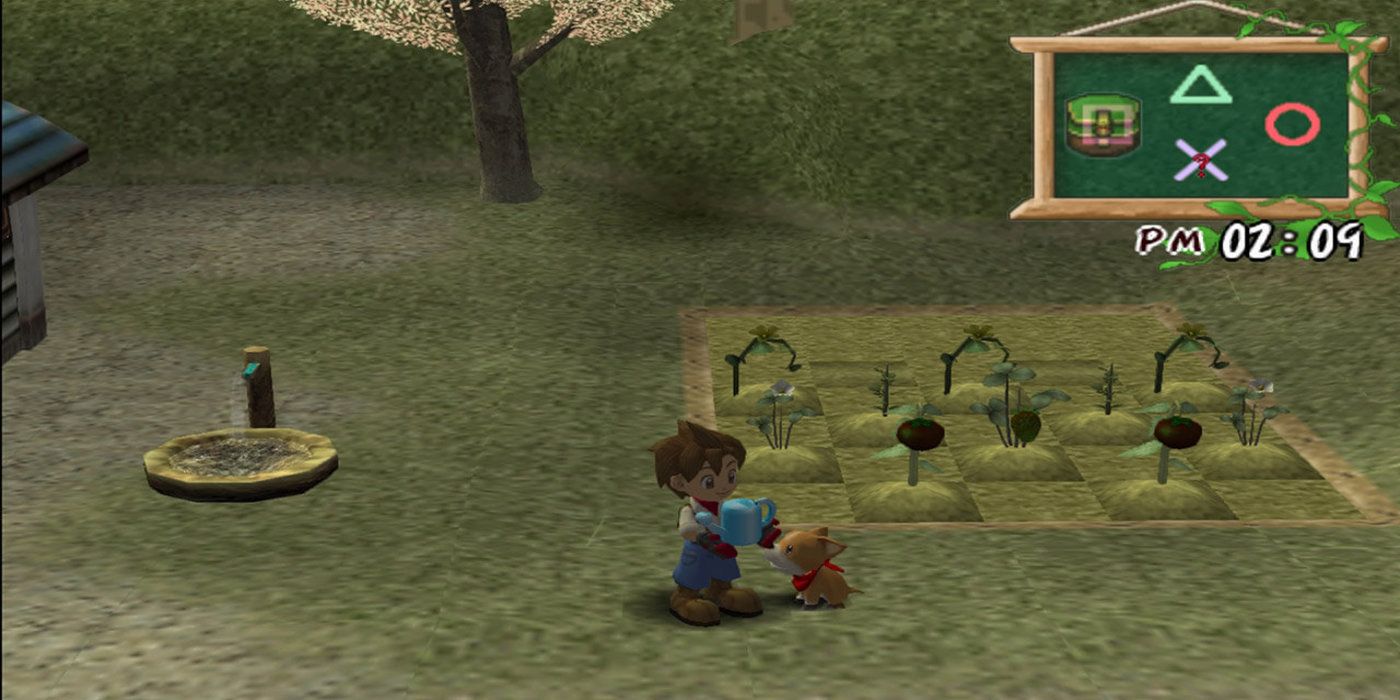 The player holding a watering can in front of some crops