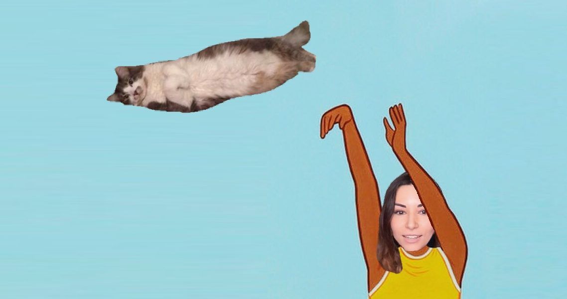 Alinity Cat Abuse Meme