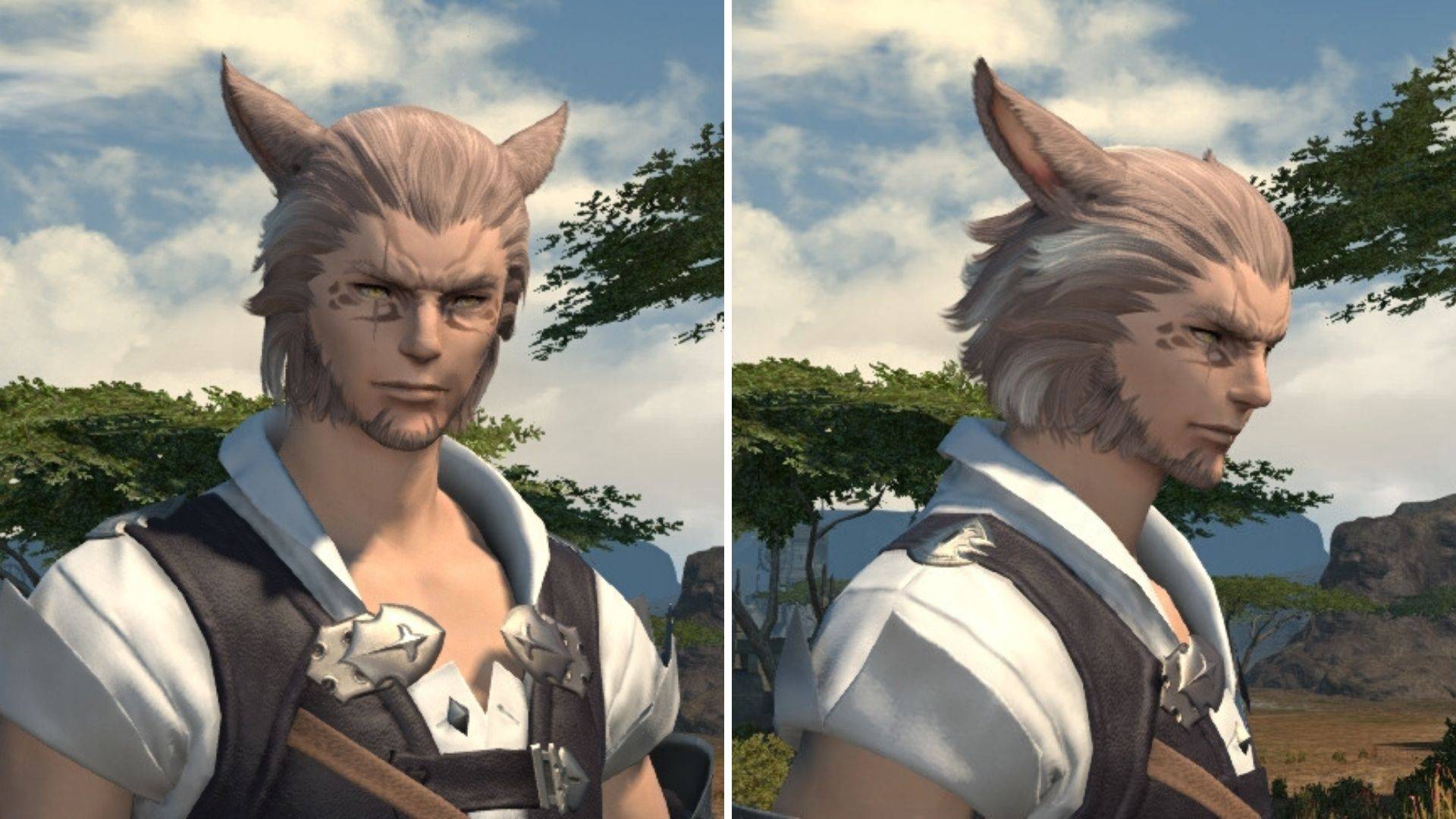 Final fantasy xiv character tool guide