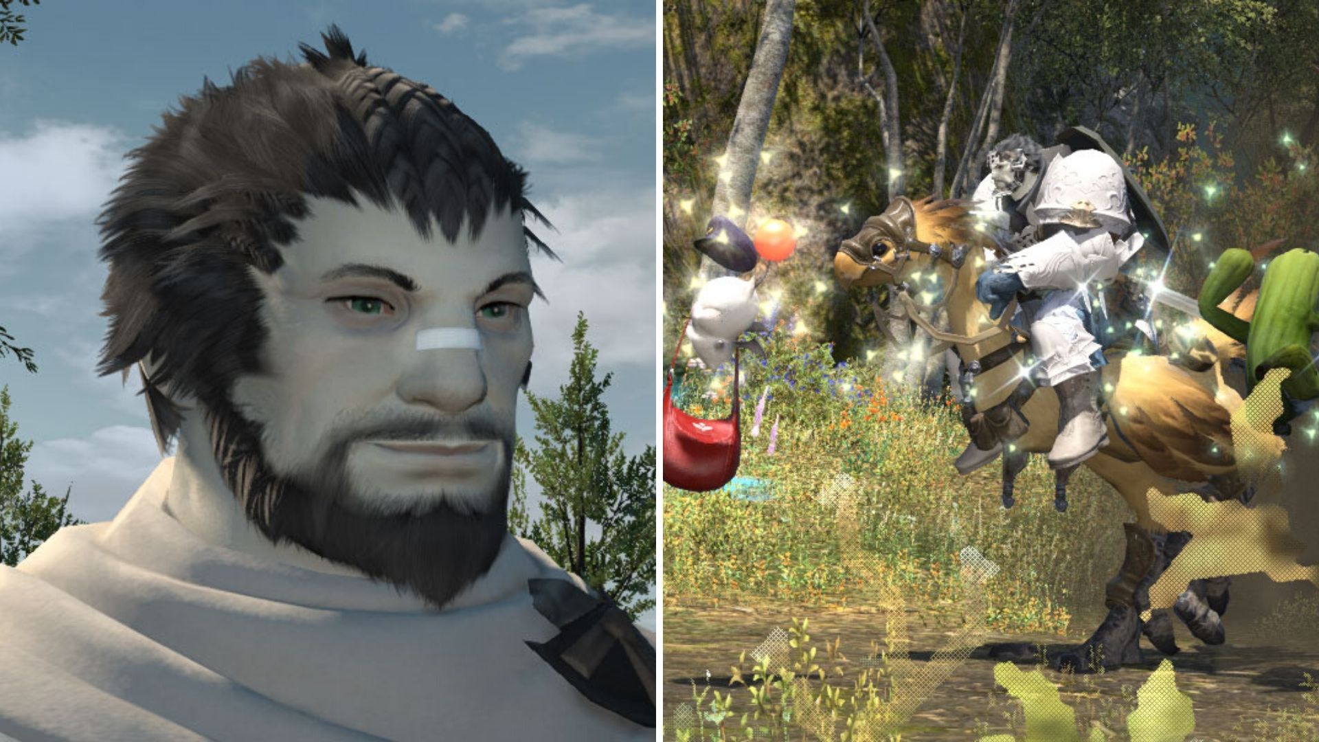 15 Of The Best Custom Characters Made In Final Fantasy 14