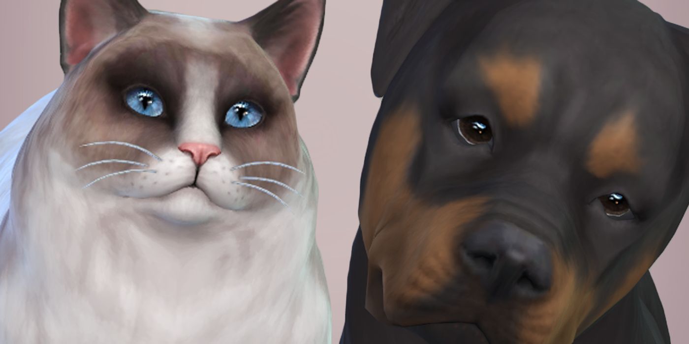 the sims 4 cats and dogs elder mod fur